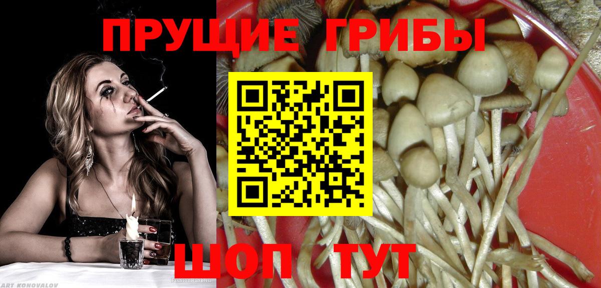 Codein Глазов