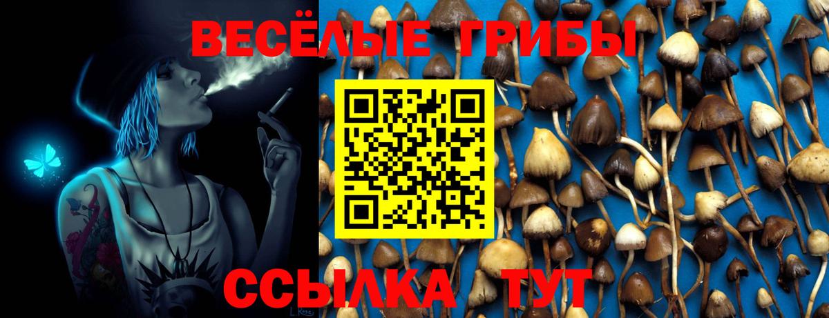 Псилоцибиновые грибы ЛСД  Вход с VPN  Глазов 
